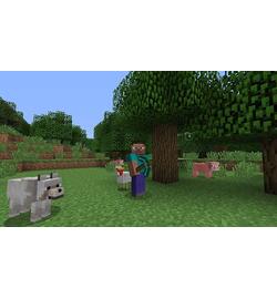 Minecraft - PlayStation 4 Edition