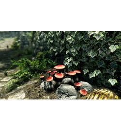 The Elder Scrolls V: Skyrim Special Edition (Remastered)