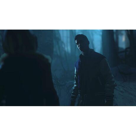 Until Dawn