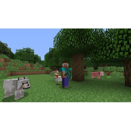 Minecraft